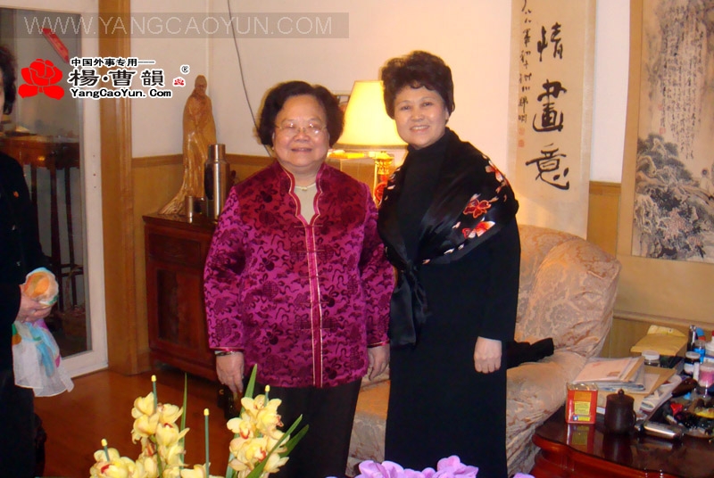 2008.11   为彭珮云女士制作中央团拜会晚装